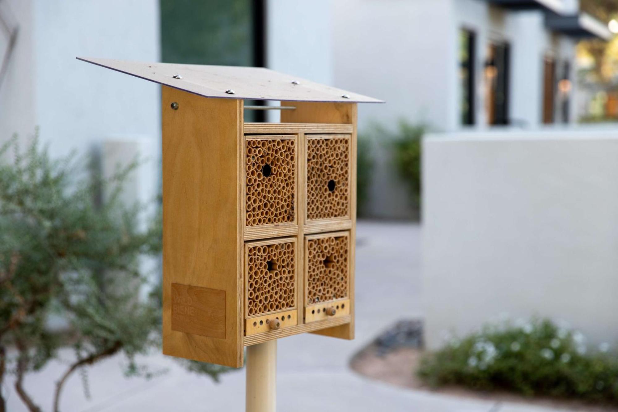 Andaz Scottsdale Resort & Bungalows Екстериор снимка
